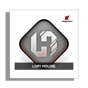 VENGEANCE SOUND LOFI HOUSE xWFXETEh B1930[[[i s]