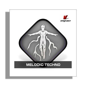 [���� 2026/01/11��] VENGEANCE SOUND MELODIC TECHNO �x���W�F���X�E�T�E���h B4449[���[���[�i ������s��]