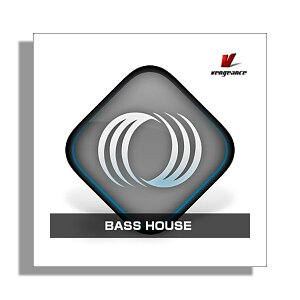 [���� 2026/01/11��] VENGEANCE SOUND BASS HOUSE �x���W�F���X�E�T�E���h B5015[���[���[�i ������s��]