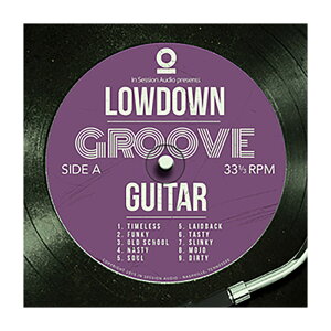 IN SESSION AUDIO LOWDOWN GROOVE GUITAR CEZbVEI[fBI A2799[[[i s]