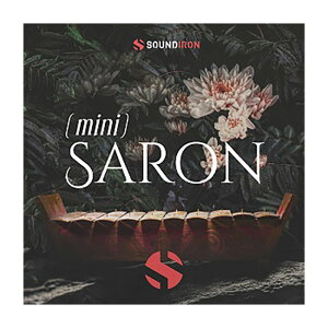 SOUNDIRON MINI SALON TEhACA [[[i s]