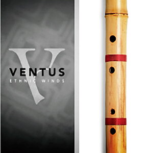 IMPACT SOUNDWORKS VENTUS ETHNIC WINDS - BANSURI �C���p�N�g�T�E���h���[�N�X [���[���[�i ������s��]