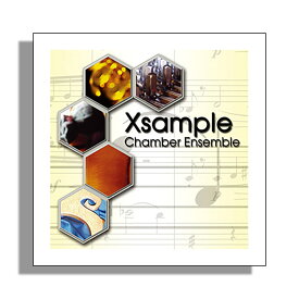 BEST SERVICE XSAMPLE CHAMBER ENSEMBLE DL ベストサービス [メール納品 代引き不可]