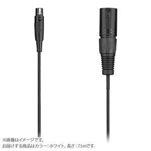 AUDIX CBLM25W �z���C�g Micros�V���[�Y�}�C�N���t�H���p�I�[�f�B�I�P�[�u�� 7.5m �I�[�f�B�b�N�X