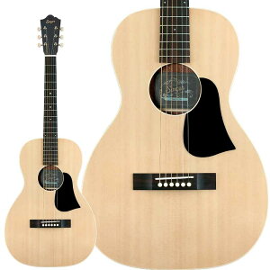 aNueNue P01 AR[XeBbNM^[ gbvP p[[ P[Xt AkGkG Singer Guitars