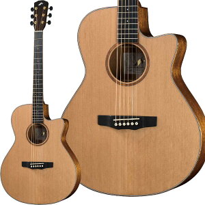 MORRIS SC-61 NAT (i`) AR[XeBbNM^[ [X