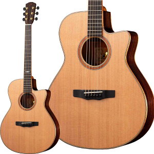 MORRIS SE-102LH NAT (i`) AR[XeBbNM^[ I[P  tgnhf [X