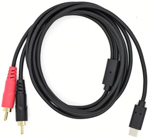 TRUE DYNA TD-USB-RCA2 USB TYPE-C x RCA svO (LA R) 2m gD[_Ci