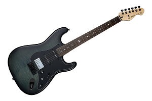 �y5����10���̓G���g���[�ł����P5�{�zMOOER MSC31 Pro Grey Burst �G���L�M�^�[ ���[�A