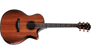 Taylor Next Generation Builder's Edition 914ce Honduran Rosewood/Sinker Redwood SEB �G���A�R �s�b�N�A�b�v���� �A�R�[�X�e�B�b�N�M�^�[ �e�C���[