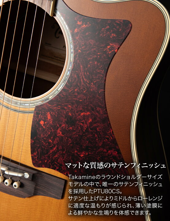 楽天市場】【マラソン期間中 エントリーでさらにP5倍】Takamine 
