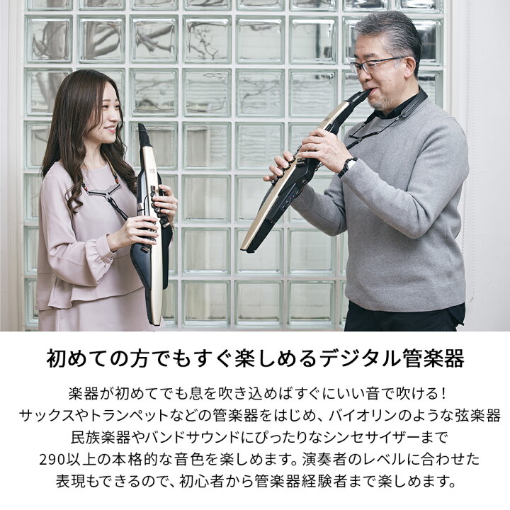 楽天市場】[教則動画付き] Roland AE-20SC 島村楽器限定モデル 