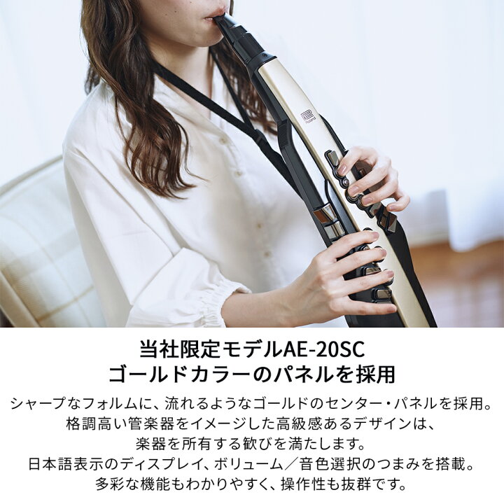 楽天市場】[教則動画付き] Roland AE-20SC 島村楽器限定モデル 