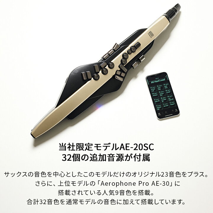 楽天市場】[教則動画付き] Roland AE-20SC 島村楽器限定モデル 
