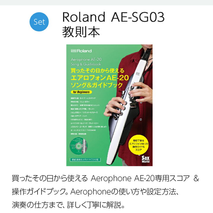 楽天市場】Roland AE-20 ケース ヘッドホン 専用スタンド ガイドブック 
