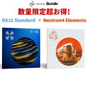 iZotope RX11 Standard + Neutron4 Elements ノイズ除去プラグイン どなたでもご購入可能です！ アイゾトープ