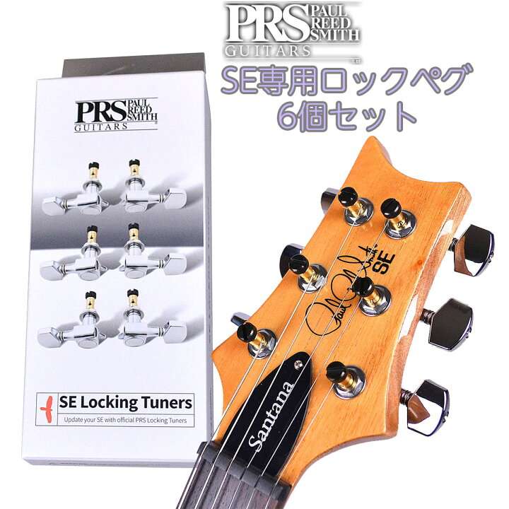 激レア！ PRS ポールリードスミス SE20 チューブアンプ 中古現状品