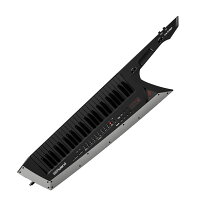 楽天市場】Roland AX-Edgeの通販