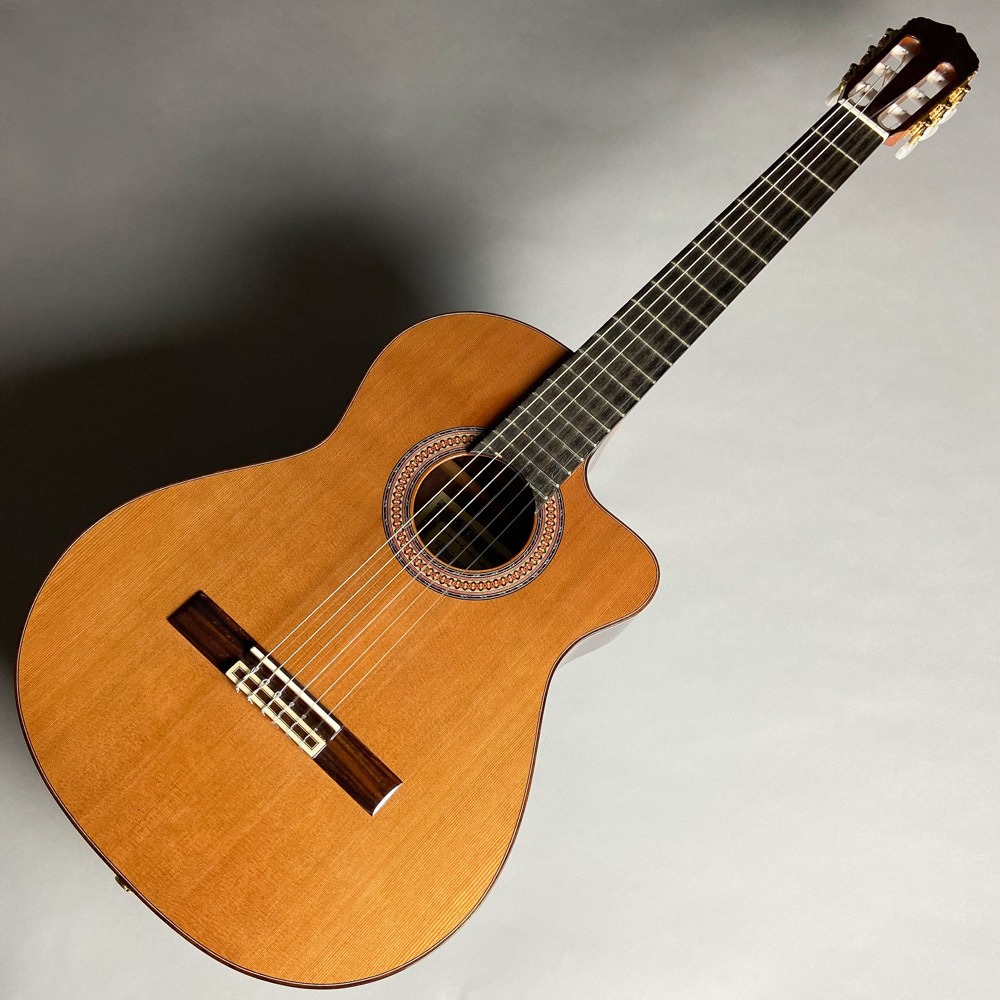 楽天市場】RAIMUNDO 660EC エレガットギター 【レイモンド スペイン製