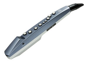 Roland AE-01 Aerophone mini EChVZTCU[ [h AE01 GAtH ~jy CI[VsSX z