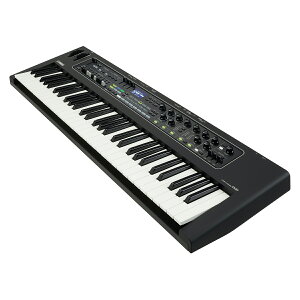 YAMAHA CK61 61���� �X�e�[�W�L�[�{�[�h ���}�n �y �C�I�����[�������V�s�S�X �z