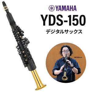 YAMAHA YDS-150 fW^TbNX EChVZ }n KɃIXXy CI[VsSX z