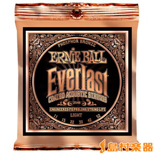 ERNiE BALL 2548 AR[XeBbNM^[p A[j[{[
