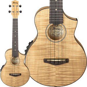 Ibanez UEW12E OPN (Open Pore Natural) RT[gEN GLEN sbNAbv tCCv \tgP[Xt ACoj[Y