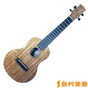 �y�}���\�����Ԓ� �G���g���[�ł����P5�{�zKIWAYA KPC-1M �E�N���� �L����
