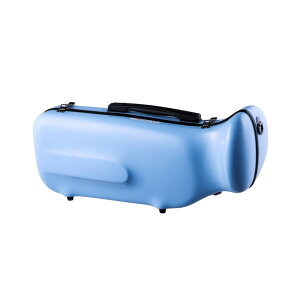 C.C.VCj[P[X VCj[P[XII/TRP AQ gybgP[X