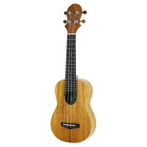 �y�G���g���[�ōő�10���|�C���g������zBig Island KT-SPS �\�v���m�E�N���� KT Traditional Series �r�b�O�A�C�����h