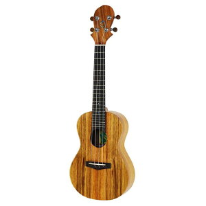 �y�}���\�����Ԓ� �G���g���[�ł����P5�{�zBig Island KT-CTS �R���T�[�g�E�N���� KT Traditional Series �r�b�O�A�C�����h
