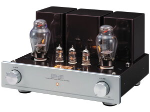 TRIODE TRX-P300SPSVANE WE300Bdliij