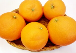 2wőIIYQʎ282.5kgy10P11Apr15zyRCPz