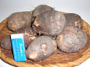 2ƑIIQYuɗ\lvy10P11Apr15zyRCPz