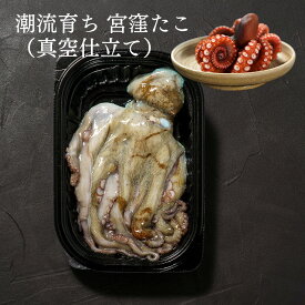 潮流育ち 宮窪たこ（真空仕立て）約500g前後