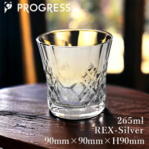 PROGRESS bNOX Rex-Silver  OX v[g  v[g pI Mtg   ސE S a Ē ECXL[ Mtg Ε j