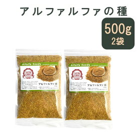 アルファルファ 種 500g 高品質 業務用 オーストラリア産 (Alfalfa 野菜種 あるふぁるふぁ seed スプラウト シード 栽培 野菜)もやし 発芽野菜 サラダ サンドイッチ 野菜の王様 食物繊維 デトックススーパーフード 小分け スルフォラファン ホワイトデー