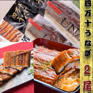 四万十うなぎ2尾セット 山椒・タレ付き ふんわり柔らかく臭み無し！高知県産 鰻 お取り寄せグルメ 贈答用…