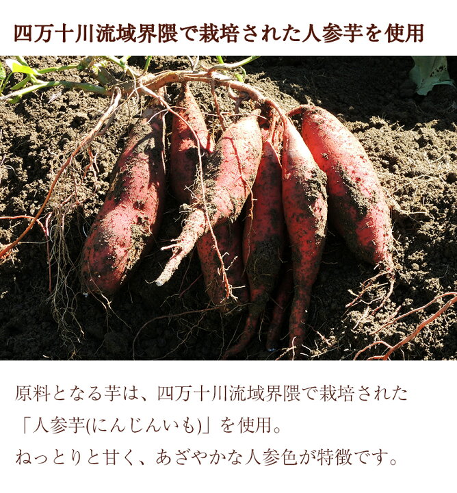 楽天市場 ポスト投函 送料無料 いも焼き菓子 ひがしやま 4枚入 ギフト お取り寄せスイーツ 高知 四万十 四万十ドラマ 人参芋 スイートポテト 干し芋 東山 母の日 誕生日 贈りもの お祝い 洋菓子 和菓子 個包装 Shimanto Ziguriストア 楽天市場店
