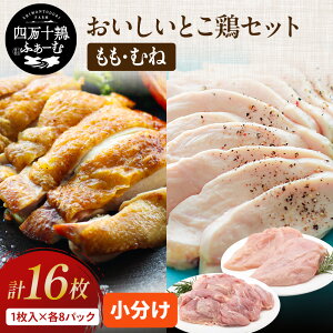 ymւuh{z l\{ Ƃ{Zbg 4.8kg( 1×8pbNEނ˓ 1×8pbN) Ⓚ  Y { { {ނ˓ { pbN Ɩp g 