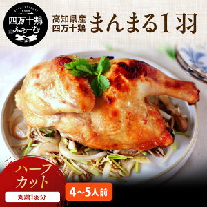 y|Cg2{zymւuh{zl\{ ܂܂1H n[tJbg 2000gbی{ Y Ⓚ ς݁b{ { ۏĂ [Xg`L NX}X`L NX}X p[