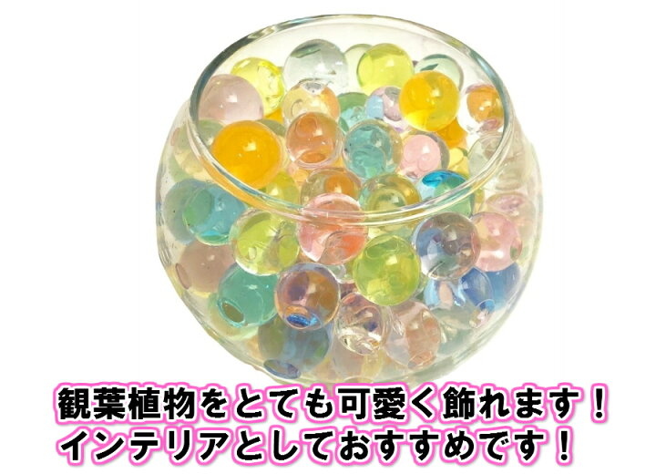 楽天市場 ぷよぷよボール 小分け10袋 1個500個入り 約5000個入 水でふくらむ ぷよぷよボール すくい 夏祭り お祭り ぷよぷよすくい イベント 景品 水で膨らむ不思議なビーズ アクアジェリービーズ 培養土として観葉植物の水代わり おもちゃとホビー Shop Shimataro