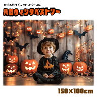 ハロウィン タペストリー 150cm×100cm 仮装 フォト フォトスペース 壁掛け スクリーン 背景 シート 装飾…