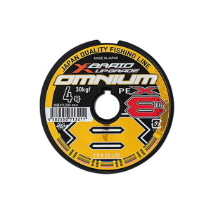 XBRAID IjE X8 AbvO[h