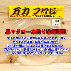 ̓t }OuE 30`100 60m tJ[{ 啨nX