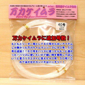 ̓PC 40`100 60m 啨nX PCnX PC Jp`  j 啨ނ jނ X^fBO 啨[  AQ[^[ C^[tbN X[p[N