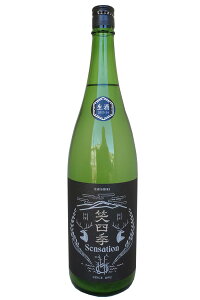 ΎlG xSensation Black 2025-26肨肪 1800mlΎlG𑢁ij