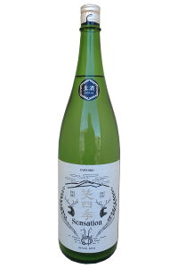 ΎlG ʏ x Sensation White 2025-26 肨肪 1800mlΎlG𑢁ij