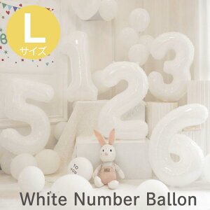 yX[p[Z[wN[|zzP5{za o[ t D   rbO90cm o[ 傫   zCg rbOo[ LO rj[ 